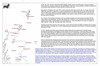 coo0c17 solebay 1_thumb.gif